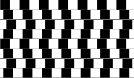 Optical Illusion Cafe Wall